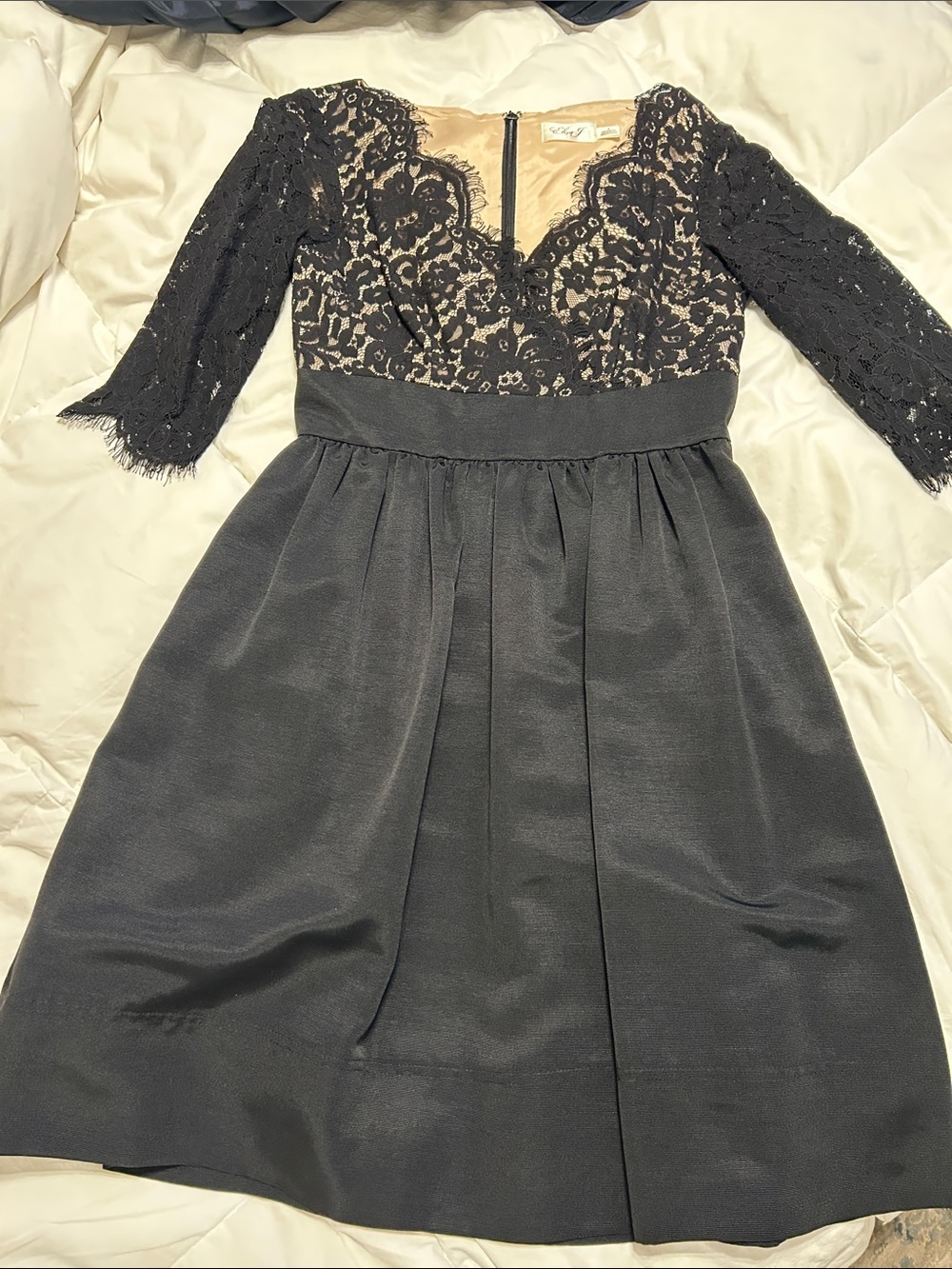 Eliza J Black Lace Bodice Fit-and-Flare Dress
